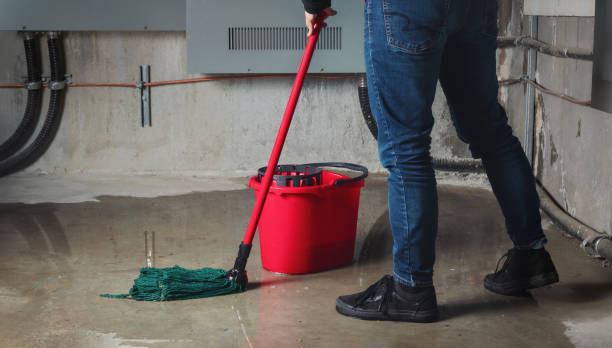Carpet water damage restoration in Eaton Rapids, MI